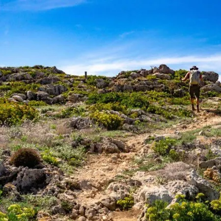 Au D'esparron Avec Terrasse - Api-1-52-578 Campsite *