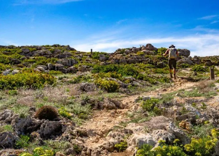 Au D'esparron Avec Terrasse - Api-1-52-578 Campsite *